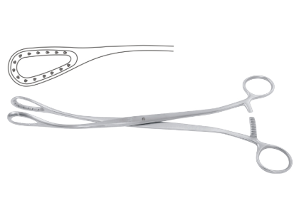 Saenger Placenta & Ovum Forceps, 17.0 Mm Wide Jaws, Curved, W/ Out Ratchet, 11 3/8" (29.0 Cm)
